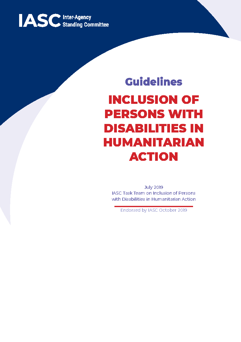 The cover page of the IASC guidelines, with blue sweeping motifs and the title in red.