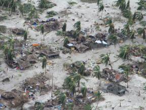 A photo of bent and broken palm trees and flattened houses in the wake of a cyclone