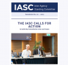A screenshot of the top of the newsletter, with photo of Mark Lowcock sat at the head of a table and the title 'The IASC Calls for Action'