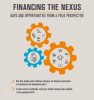 Financing the nexus