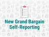 New Grand Bargain Self-Reporting
